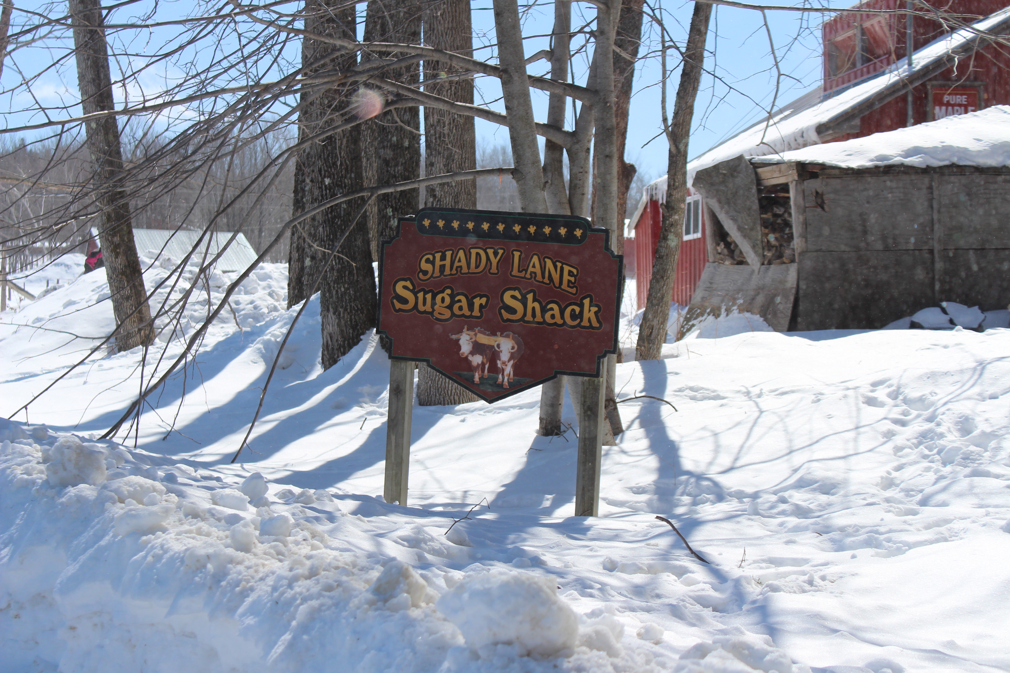 Family, farming and “old stuff” at Shady Lane Farm Drink Maine Milk