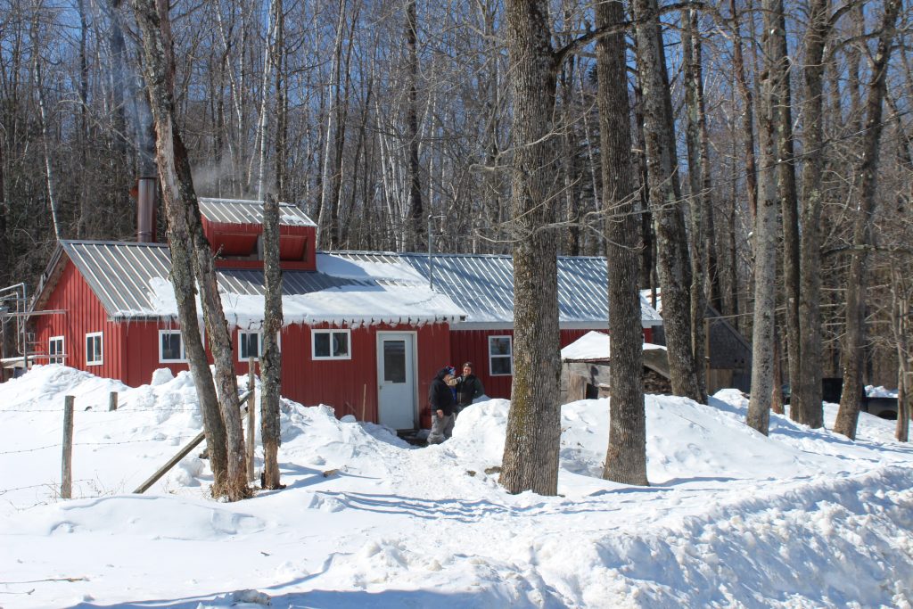 Family, farming and “old stuff” at Shady Lane Farm Drink Maine Milk