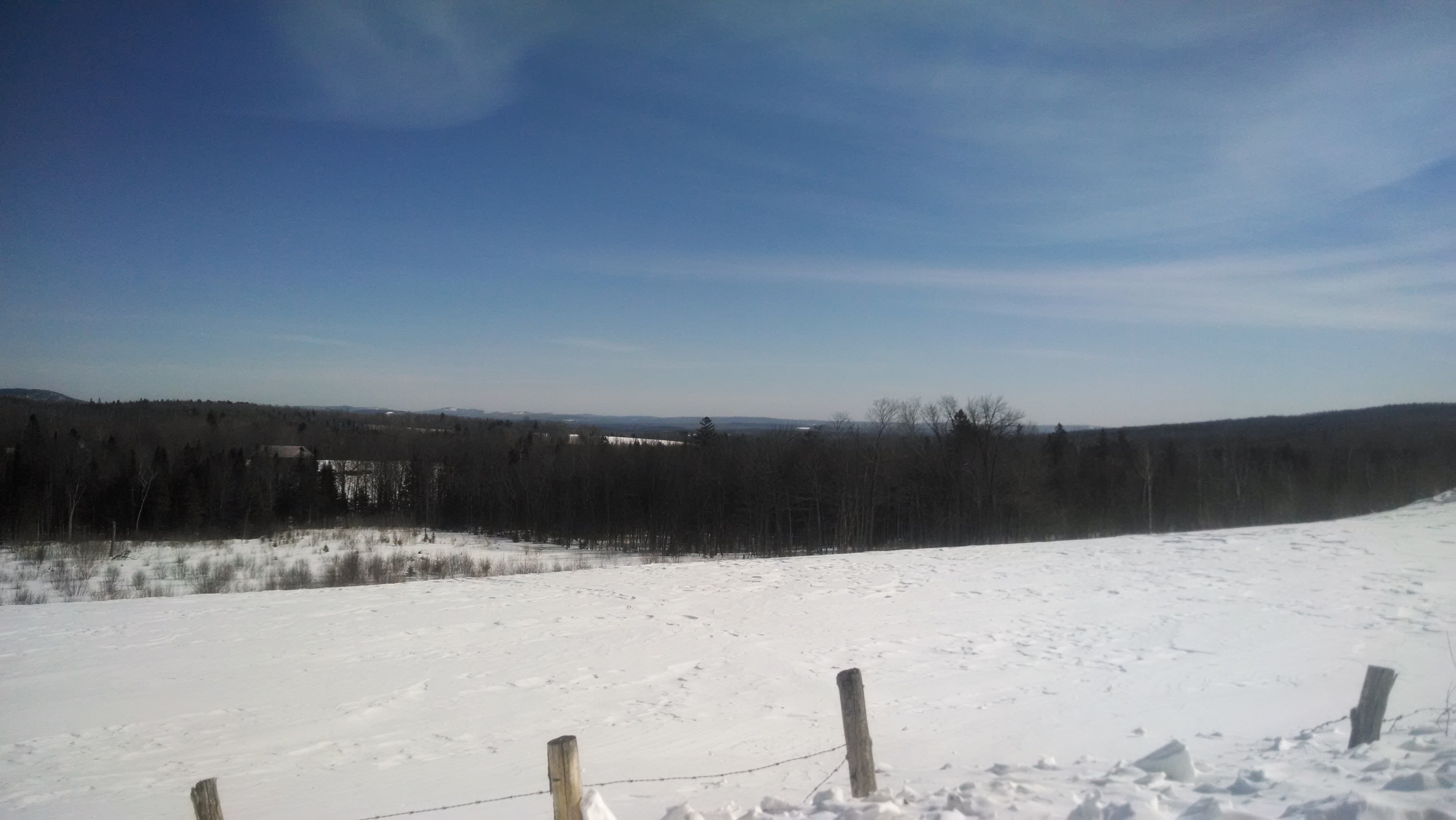 Family, farming and “old stuff” at Shady Lane Farm Drink Maine Milk