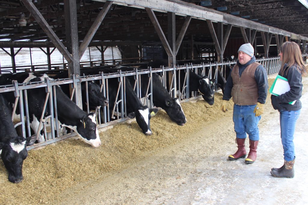 Dairy farmer Mark Sawyer and Nutritionist Emilee Robertson discuss the cows' diet and performance.