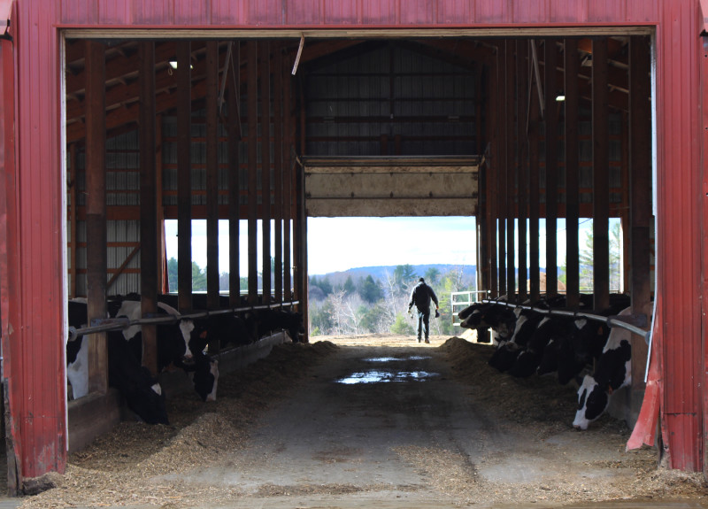 Trundy barn - Aaron walking