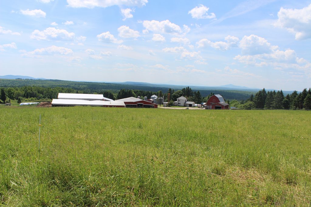 Lilley Farms is set among wide open fields with views of the surrounding mountains.
