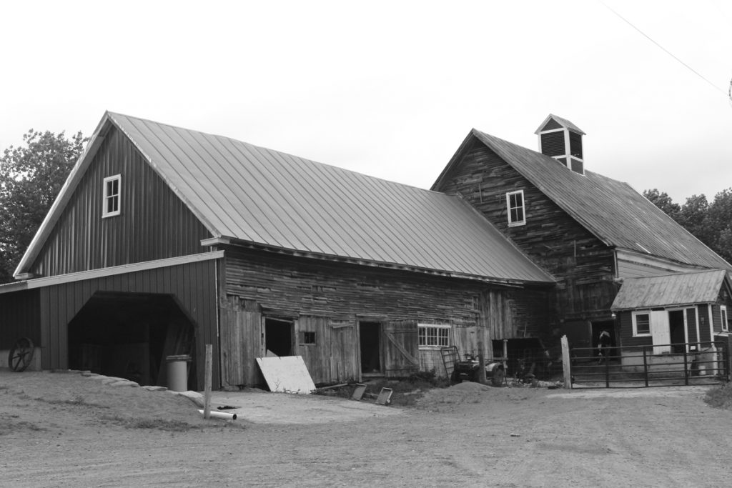 The barn at Springside Farms is circa the mid 1800s. Randall Bates' great-grandfather started renting the property in 1905 before purchasing in 1932 ("The height of the depression," Randall said.) and turned over to Randall's grandparents. Randall and Jill have farmed another property that belonged to his great-grandfather on the Anson Valley Road in New Vineyard, but have moved their operation to this nearby farm because of the additional land. They are making improvements and updates, including a covered high use area with a bedded pack for the cows.