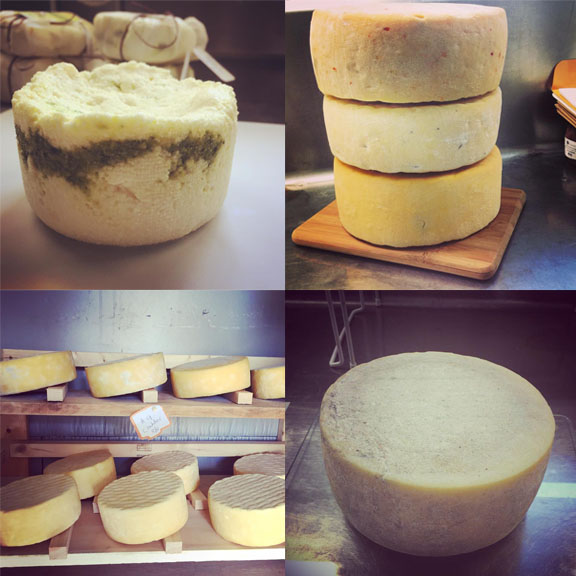 An array of Crooked Face Creamery cheeses.