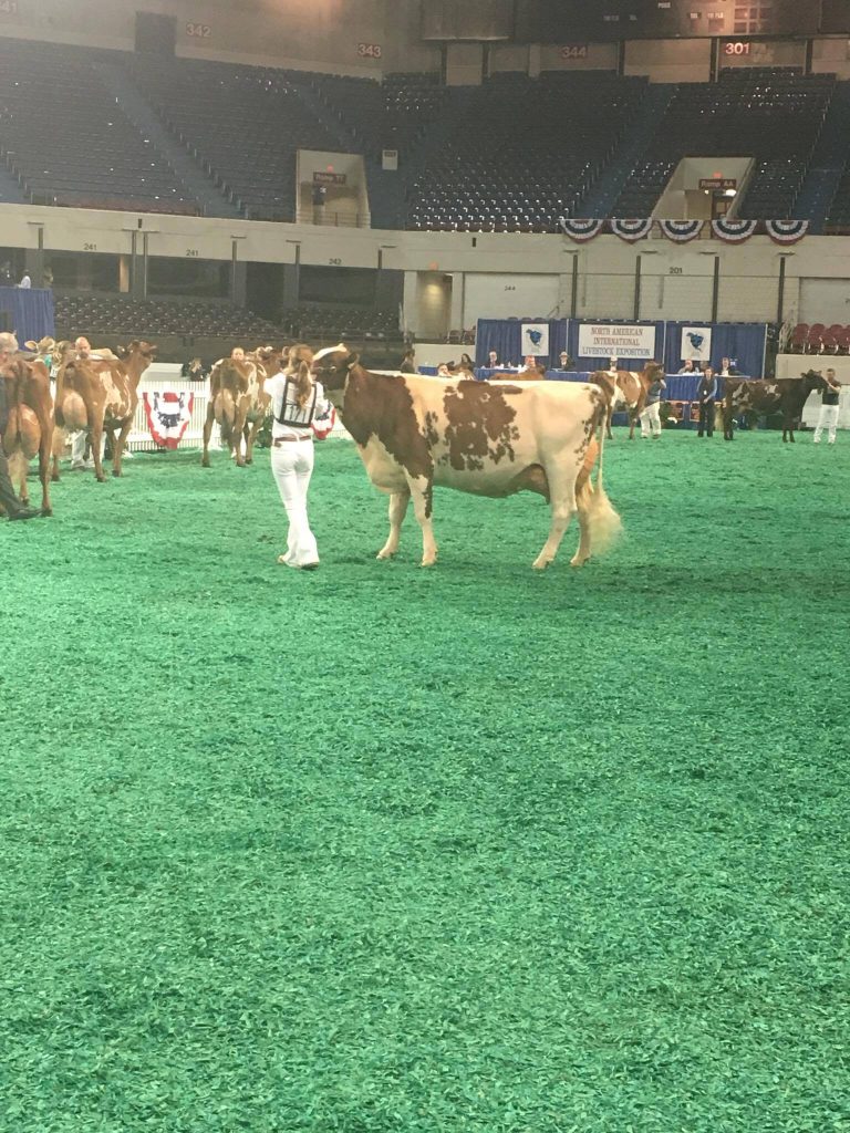 Megan showing on the green shavings. Photo courtesy of Megan Caruso.