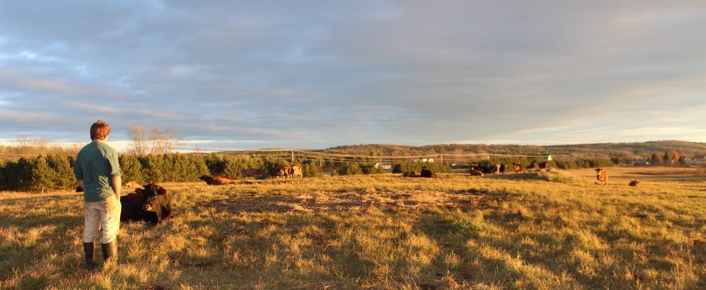 Andy Smith in his pasture at the Milkhouse in Monmouth.