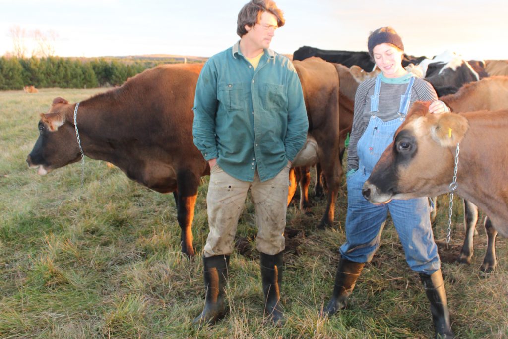 Andrew Smith and Caitlyn Frame's diligence in animal care and best practices in the milking parlor have earned them the No. 2 ranking in the nation for Horizon Organic milk quality.