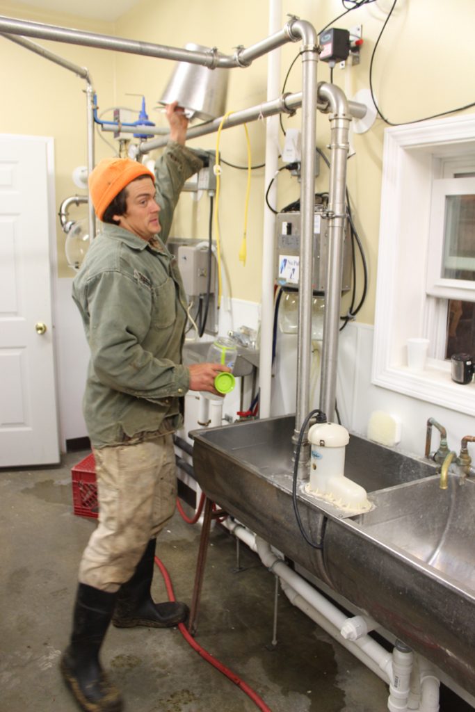 Andy Smith in the milk room.