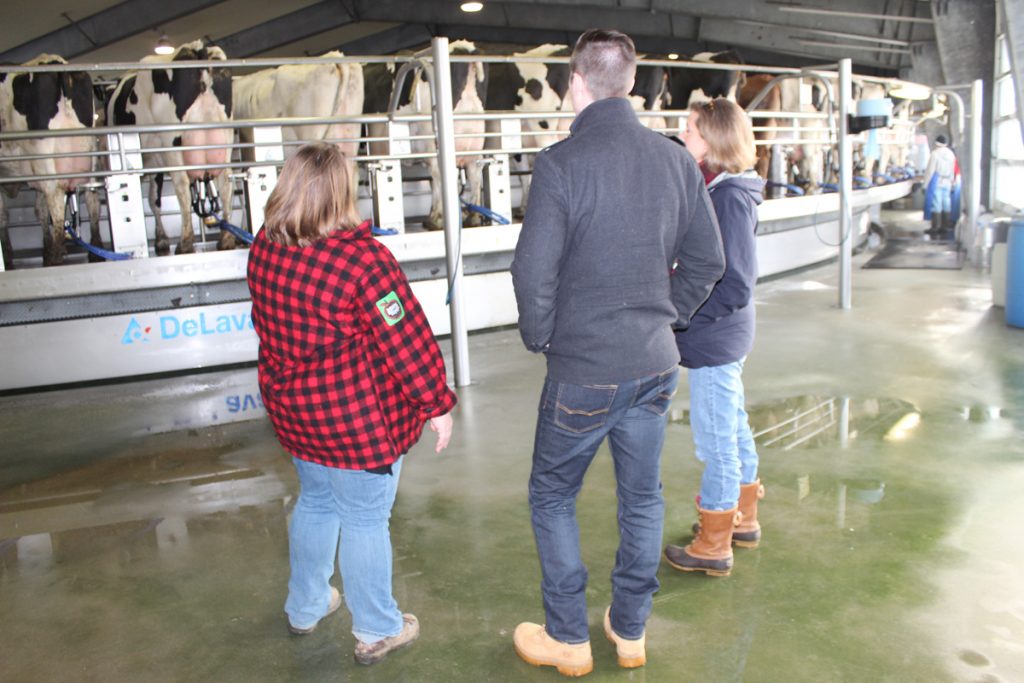 Watching milking at Flood Brothers Farm with their 100-cow rotary.