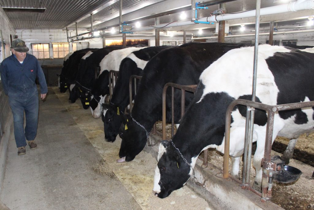Dana Huff helps his son Joel out at feeding and milking time, but other than that, few people are trusted to adhere to the high standards that the Huffs set in the barn.