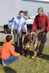 Aaron Bell of Tide Mill Farm takes time to visit his local school with a young calf.