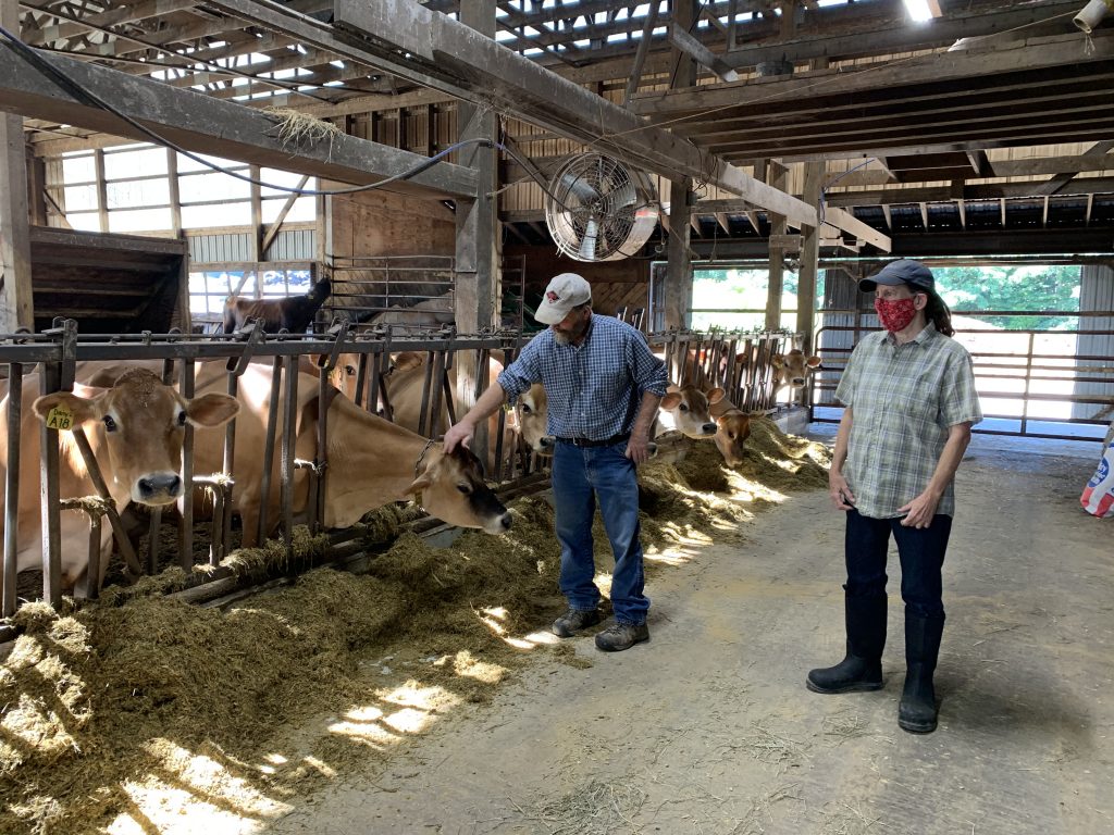 2020 Maine Green Pastures Winner Lowell Family Farm Drink Maine Milk